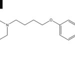 What Is Abilify Used for: Everything to Know